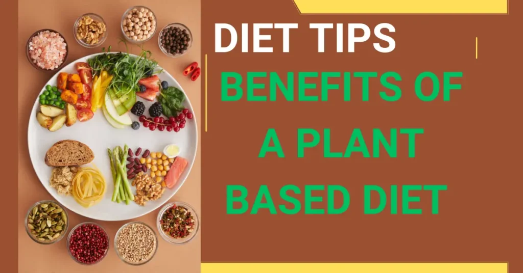 "Benefits of plant-based diet: vibrant health, sustainability, ethical eating."